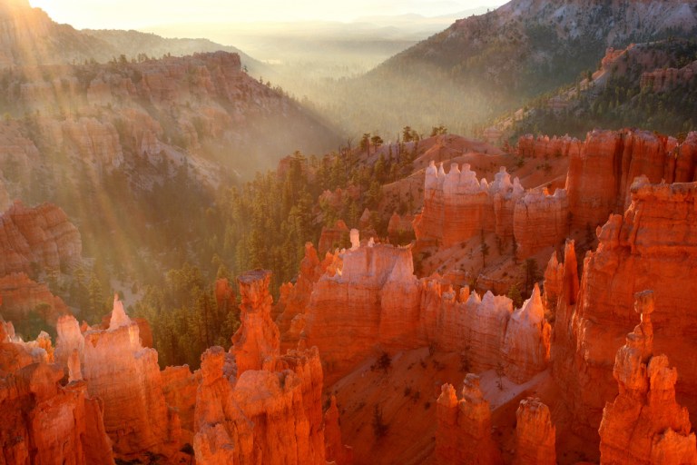 Bryce Morning Glow