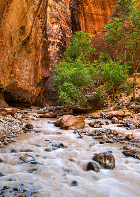 Muddy Water Narrows Portrait