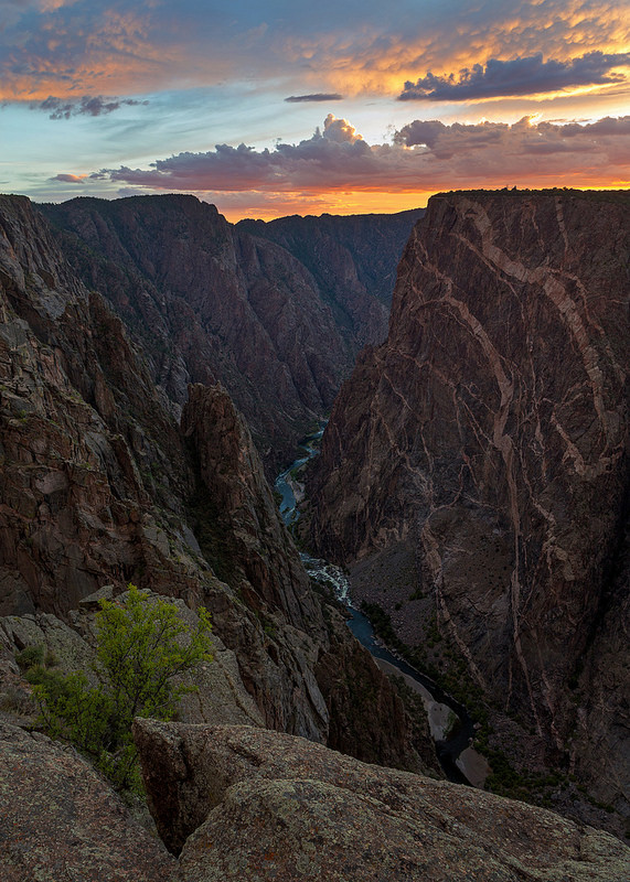 Painted Wall Portrait