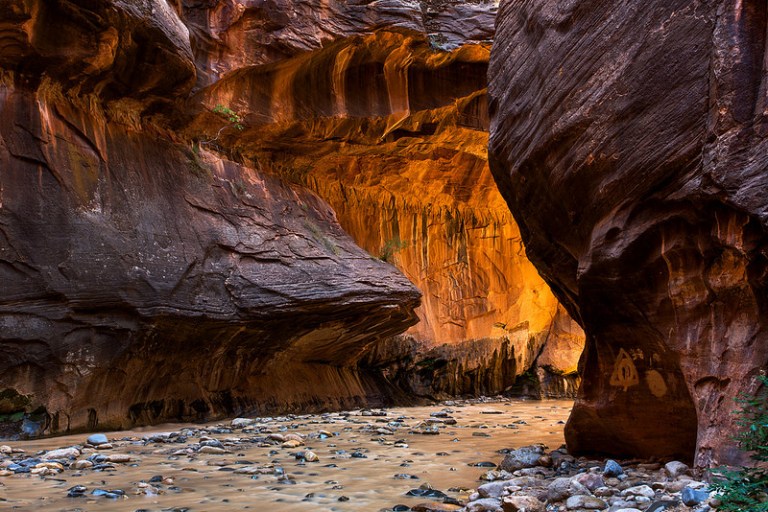 Zion Muddy Water Glow