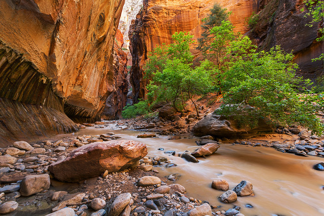 Zion Muddy Water Landscape