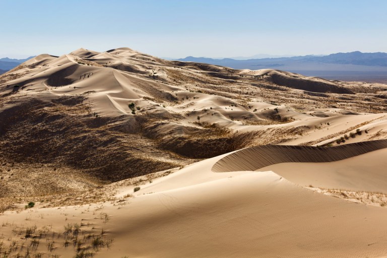 Kelso Dunes Landscape