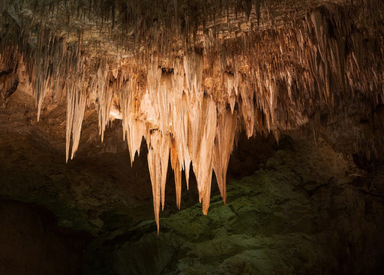 Stalactite at Carlsbad Caverns