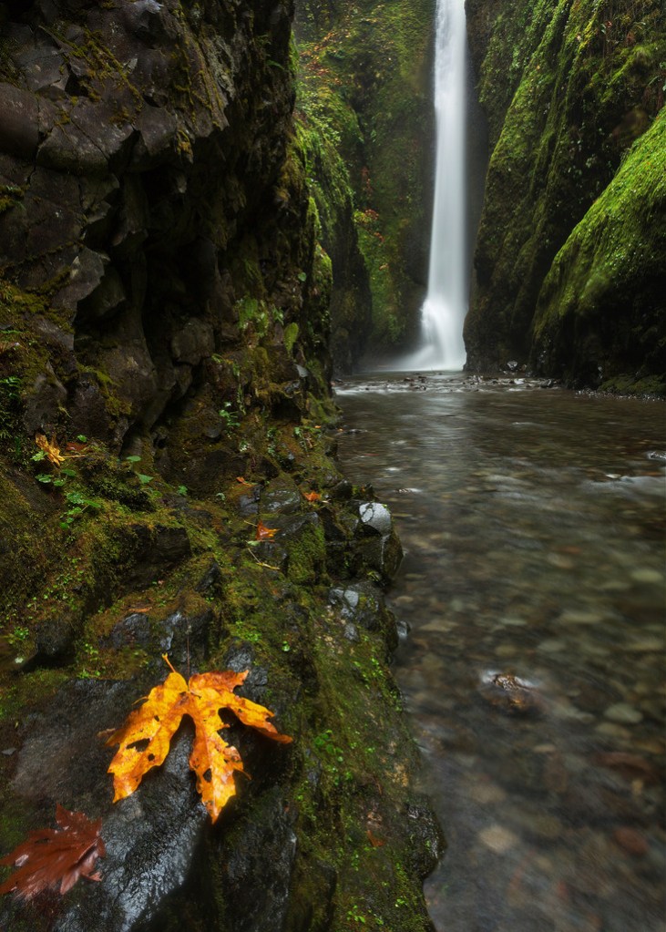 Lower Oneonta Falls in November