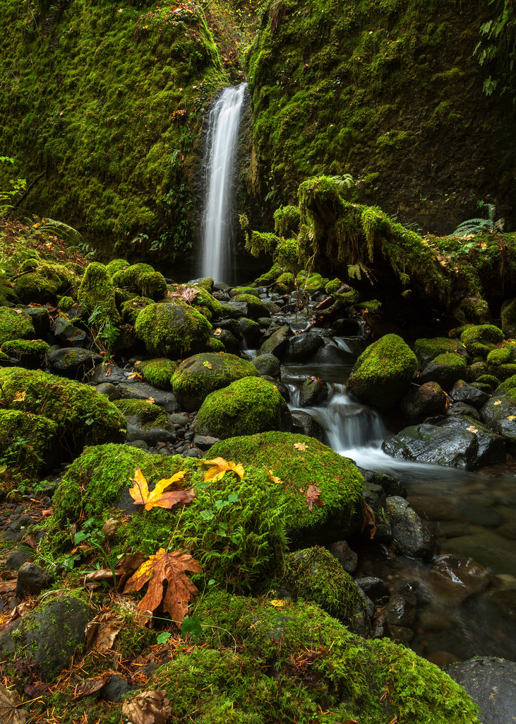 Mossy Grotto Falls Portrait