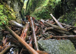 Oneonta Gorge Logjam