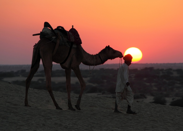 Camel Driver at Sunset