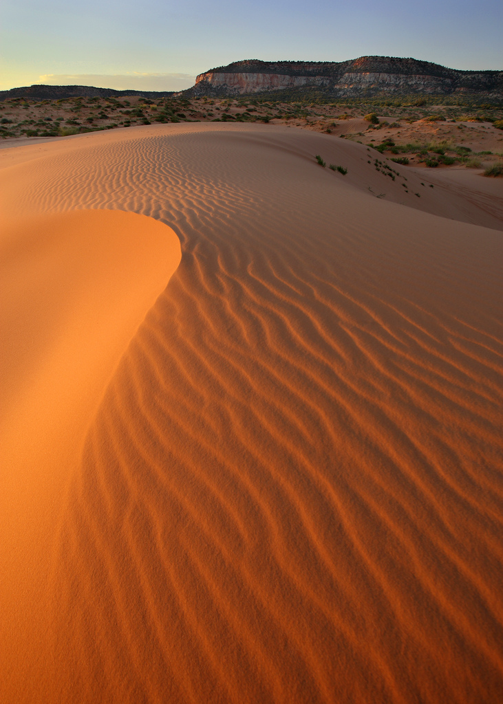 Coral Pink Sand Dunes Sunset