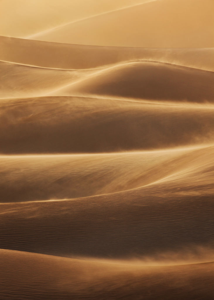 Death Valley Sandstorm Portrait