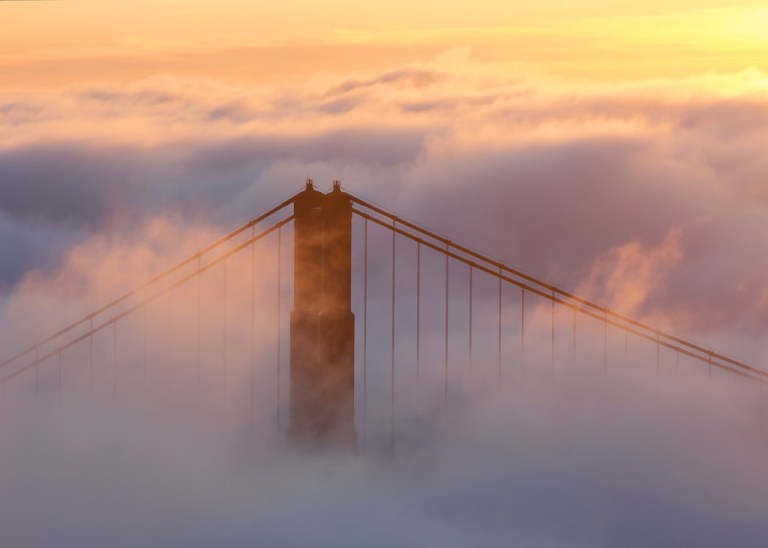 First Light North Tower