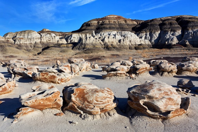 Bisti Egg Garden
