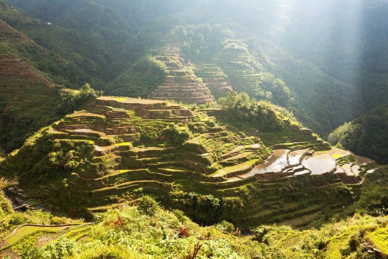 Early Light on Banaue Rice Terraces
