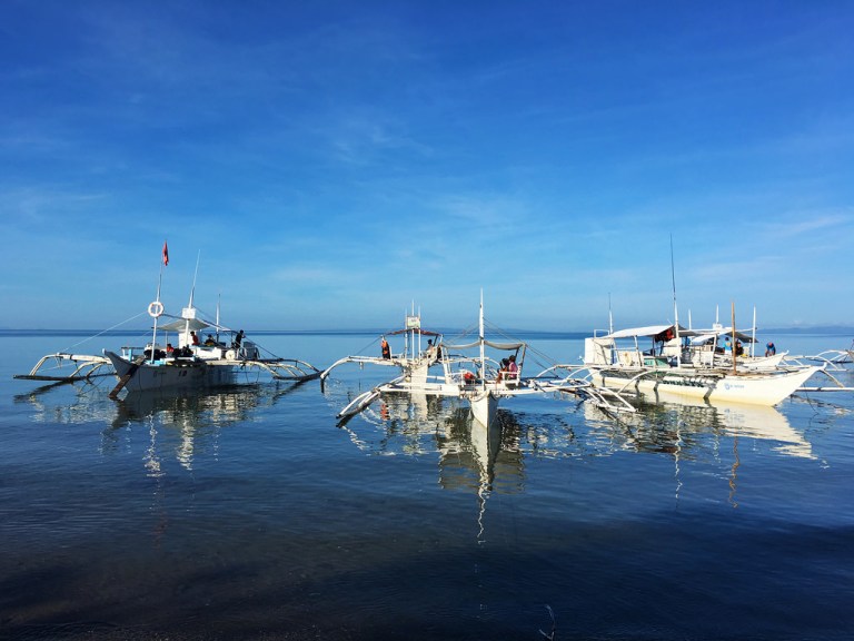 Whale Shark Boats in Donsol