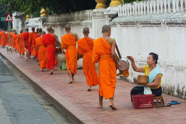 LP Morning Alms Collection