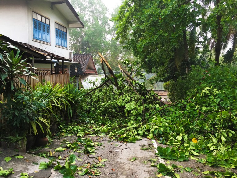 Storm Damage in Luang Prabang