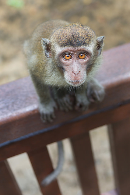 What's in Your Backpack and Give It to Me