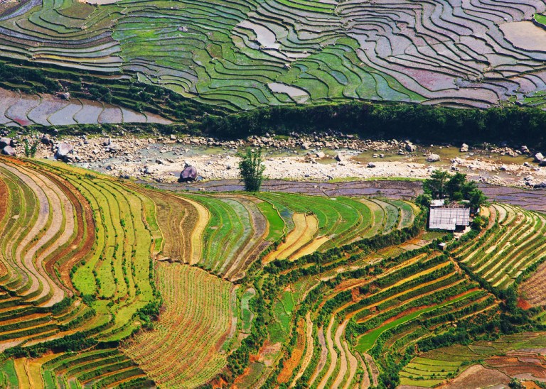 Rice Terraces and River