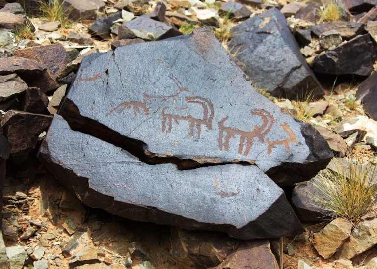 Ibex Petroglyphs at Khavtsgait
