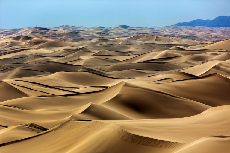 Khongoryn Els Dunefield