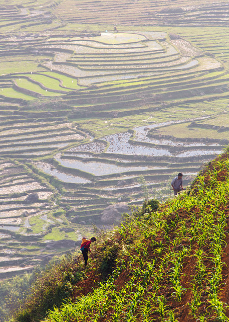 Steep Hillside Cultivation
