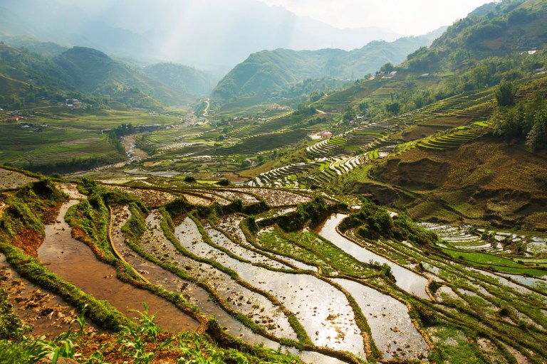 Sunbeams on Rice Terrace Valley