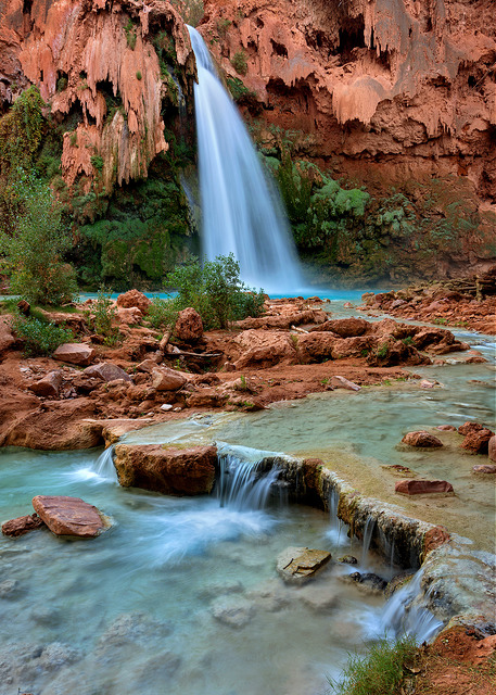 Havasu Falls Portrait