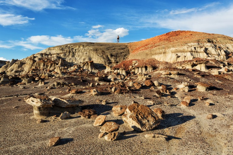 marie-on-a-hill-at-bisti