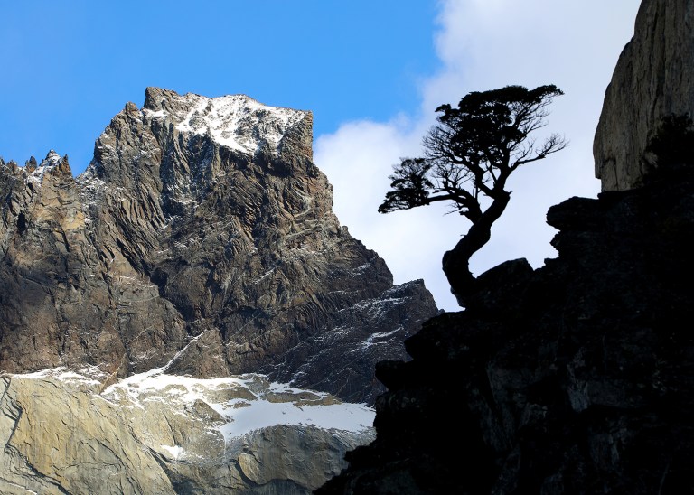 lone-tree-silhouette-landscape