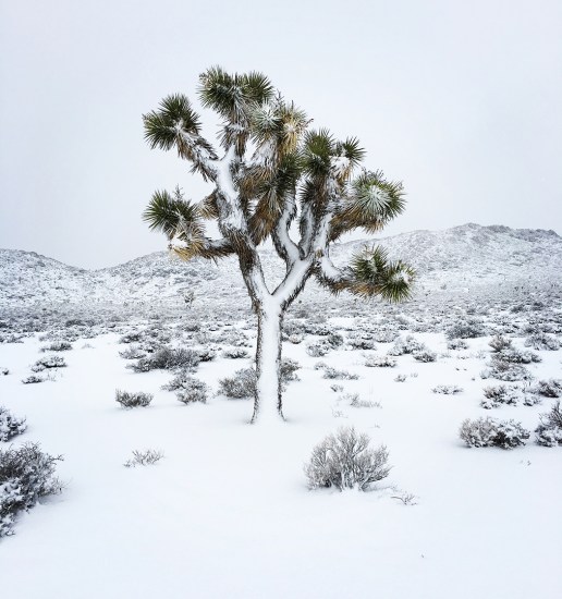 death-valley-snowstorm