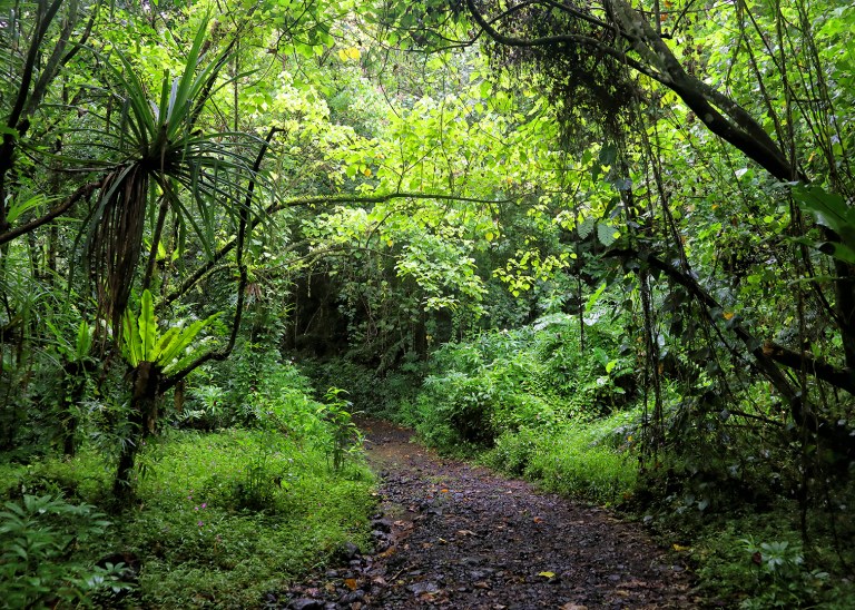 mount-alava-trailhead